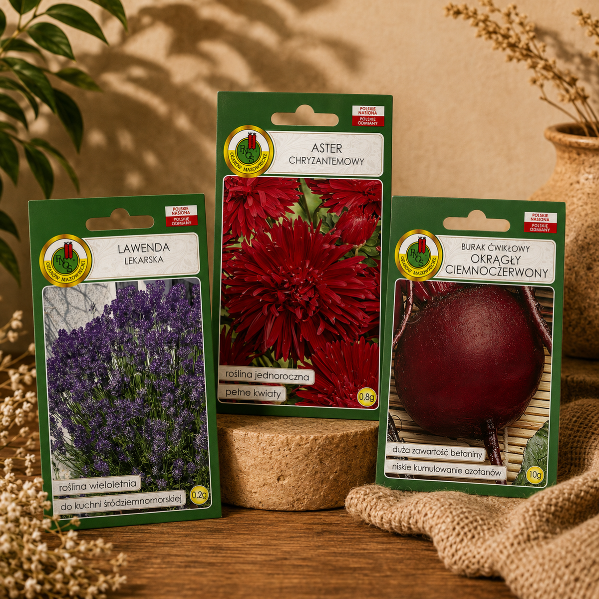 Planting Seeds (Nasiona)
